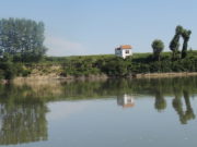 Po: la Giornata dell’ambiente la dedichiamo al Grande Fiume. Ecco perché