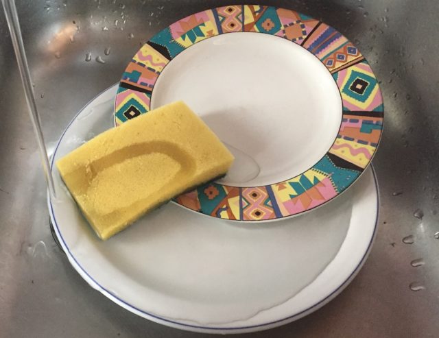 spugnetta-piatti-mostro-con-miliardi-di-batteri