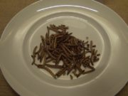 Insetti a tavola dal 2018: ma mangeremo davvero larve e grilli? insetti-tavola-2018-mangeremo-larve-grilli