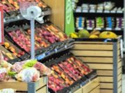 Sacchetti bio: sì ai monouso da casa. Ma sono una goccia nel mare degli aumenti sacchetti-bio-si-monouso-da-casa-ma-goccia-nel-mare-aumenti