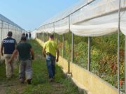 Voucher: l’arma giusta per combattere il lavoro nero? voucher-arma-combattere-lavoro-nero