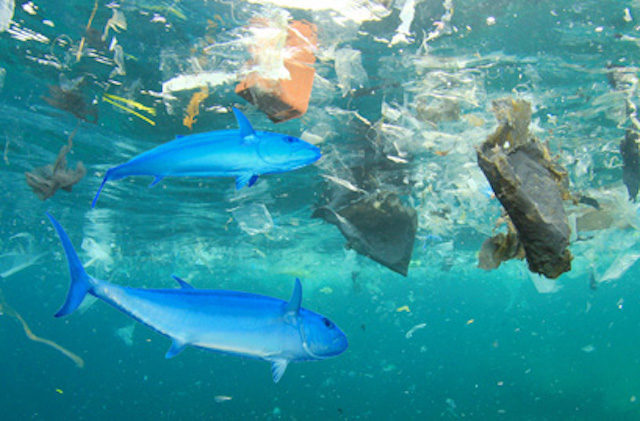 salvamare-contro-plastica-pescatori