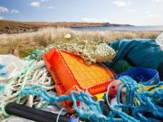 Plastica, studio shock: ecco quanta ne mangiamo plastica-studio-shock-ecco-quanta-ne-mangiamo