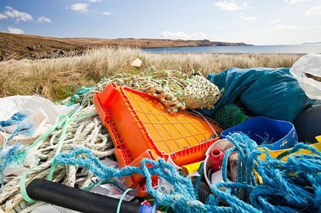 plastica-studio-shock-ecco-quanta-ne-mangiamo