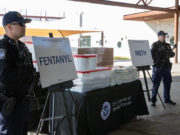 Fentanyl, è allarme: la droga sintetica si diffonde anche in Italia fentanyl-droga-sintetica-si-diffonde-anche-in-italia