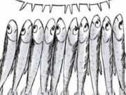 Caro prof di Fiorenzuola, impari lei dalle Sardine caro-prof-di-fiorenzuola-impari-lei-dalle-sardine