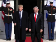 Palestina e piano Trump: il re è nudo? palestina-e-piano-trump