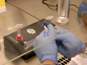 Tamponi a tutti, il Veneto accelera: così si batte il Covid-19? tamponi-a-tutti-veneto-accelera-covid-19