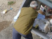 Rifiuti domestici e Covid-19: come vanno gestiti per evitare il contagio rifiuti-domestici-covid-19-come-vanno-gestiti-evitare-contagio