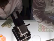 Coronavirus, studio di Harvard: Covid-19 ad ondate “influenzali” fino al 2022 coronavirus-harvard-covid-19-ondate-influenzali-fino-al-2022