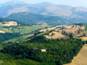 Spighe Verdi 2020: comuni piacentini a bocca asciutta spighe-verdi-2020-comuni-piacentini-a-bocca-asciutta