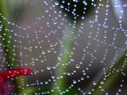 L’idrogeno ci salverà dall’inquinamento? idrogeno-ci-salvera-da-inquinamento