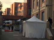 Piacenza rialza la testa: il corso di medicina in inglese è una grande opportunità piacenza-corso-medicina-in-inglese-grande-opportunita