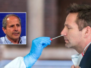 Contagi, Crisanti lancia un altro allarme: siamo al punto di rottura contagi-crisanti-altro-allarme-siamo-al-punto-di-rottura