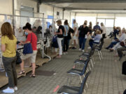 Vaccinazioni a Piacenza: mancano all’appello 14mila over 60, Ausl in ansia vaccinazioni-a-piacenza-mancano-allappello-14mila-over-60-ausl