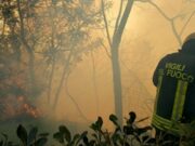 Emergenza incendi, vigili del fuoco: in Emilia-Romagna mezzi vecchi di decenni emergenza-incendi-vigili-del-fuoco-in-emilia-romagna-mezzi-vecchi-di-decenni