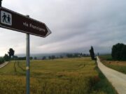 La Via Francigena e il Festival di Fidenza, che lezione ai piacentini! via-francigena-il-festival-di-fidenza-che-lezione-ai-piacentini
