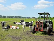 Giornata mondiale dell’ambiente: in Italia perso il 28% dei terreni coltivati in 25 anni giornata-mondiale-dellambiente-in-italia-perso-28-terreni-coltivati-in-25-anni