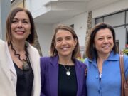 Giunta Tarasconi: da De Micheli a Gazzolo, le grandi manovre per trovare gli assessori giusti giunta-tarasconi-da-de-micheli-a-gazzolo-le-grandi-manovre-per-trovare-gli-assessori-giusti