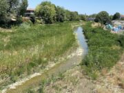 Crisi idrica: il territorio di Piacenza e un “progetto acqua” per battere la siccità crisi-idrica-il-territorio-di-piacenza-e-un-progetto-acqua-per-battere-la-siccita