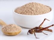 Farina di grillo a tavola dalla prossima settimana: in che cibi la potremo trovare? farina-di-grillo-a-tavola-dal-24-gennaio