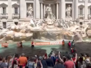 Ecoteppisti in cerca di visibilità? E allora ecco la mossa giusta… ecoteppisti-in-cerca-di-visibilita-ecco-mossa-da-fare