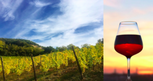 vini-di-piacenza-un-elogio-meritato-contro-il-prosecco-ad-ogni-costo