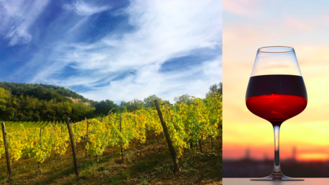 vini-di-piacenza-un-elogio-meritato-contro-il-prosecco-ad-ogni-costo