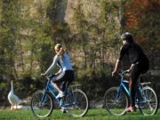 Sondaggio 2024: i desideri e le ambizioni degli italiani per l’anno nuovo sondaggio-2024-desideri-e-ambizioni-degli-italiani-per-anno-nuovo