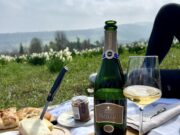 Grand Tour in Franciacorta: un brand che dà qualità e identità a partire dalla Guido Berlucchi franciacorta-un-brand-che-da-qualita-e-identita-a-partire-dalla-guido-berlucchi