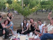 L’agenda di giugno sui Colli Piacentini: di vino in vigna, tra prelibatezze da non perdere colli-piacentini-di-vino-in-vigna-tra-prelibatezze-da-non-perdere