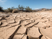 Giornata dell’Ambiente, Coldiretti: il 28% dell’Italia a rischio desertificazione giornata-dellambiente-coldiretti-il-28-dellitalia-a-rischio-desertificazione
