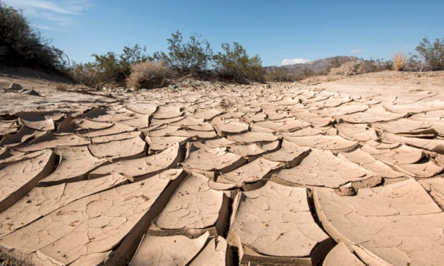 giornata-dellambiente-coldiretti-il-28-dellitalia-a-rischio-desertificazione