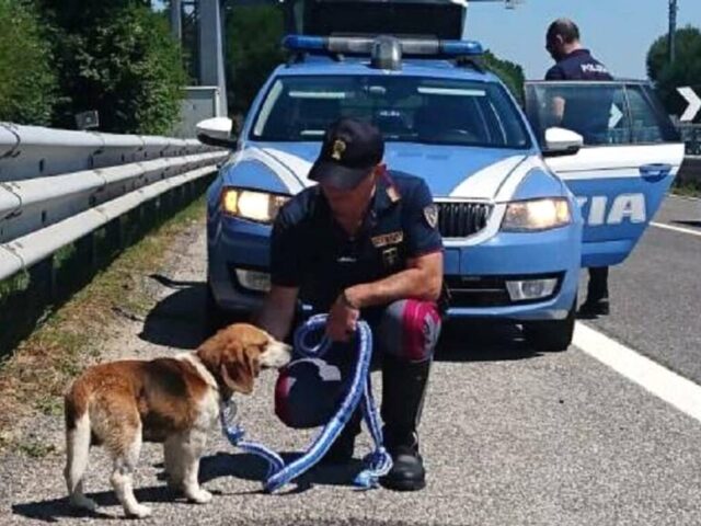 senontiportononparto-contro-abbandono-animali-campagna-polizia