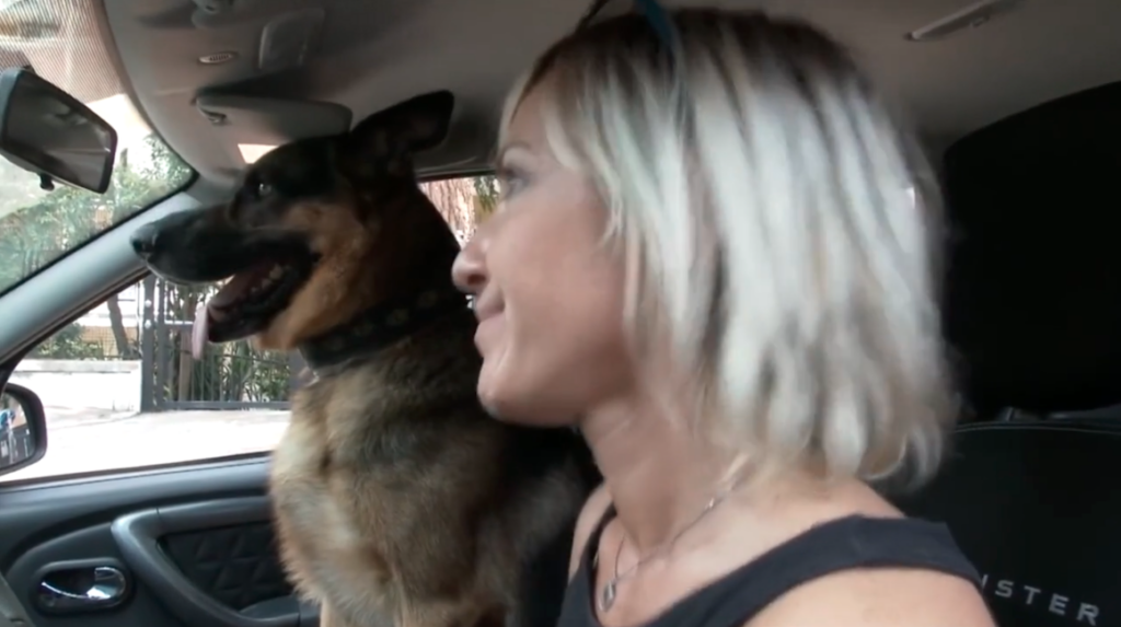 senontiportononparto-contro-abbandono-animali-campagna-della-polizia