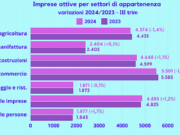 Imprese piacentine: oltre 25mila attive, ma calano nel commercio e in agricoltura imprese-piacentine-oltre-25mila-attive-ma-calano-nel-commercio-e-in-agricoltura
