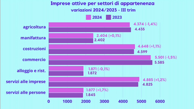 imprese-piacentine-oltre-25mila-attive-ma-calano-nel-commercio-e-in-agricoltura