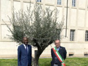 Ulivo della pace a Fiorenzuola, il sindaco Gandolfi: “Un simbolo da far crescere per il futuro di tutti” ulivo-della-pace-a-fiorenzuola-sindaco-gandolfi-simbolo-per-futuro-di-tutti