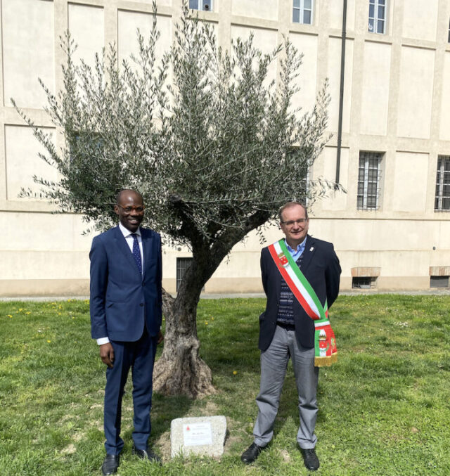 ulivo-della-pace-a-fiorenzuola-sindaco-gandolfi-simbolo-per-futuro-di-tutti
