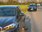 Allarme animali selvatici: in un giorno quattro incidenti stradali nel Piacentino allarme-animali-selvatici-in-un-giorno-quattro-incidenti-stradali-nel-piacentino