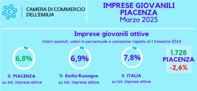 imprese-giovanili-piacentine-sono-in-calo-26