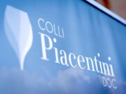 Il Consorzio Tutela Vini Doc Colli Piacentini va salvato: una nuova governance per rilanciarlo? consorzio-vini-doc-colli-piacentini-da-salvare-nuova-governance-per-rilanciarlo