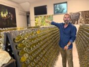 Tenuta La Ratta: dove l’Ortrugo diventa un nobile spumante, all’insegna dell’ospitalità piacentina tenuta-la-ratta-dove-ortrugo-diventa-nobile-spumante-allinsegna-ospitalita-piacentina