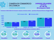 A Piacenza e provincia sempre più stranieri aprono un’impresa a-piacenza-e-provincia-sempre-piu-stranieri-aprono-unimpresa