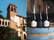 Cantine Romagnoli inaugura il nuovo Wine Shop, una vetrina delle eccellenze piacentine cantine-romagnoli-inaugura-nuovo-wine-shop-vetrina-delle-eccellenze-piacentine