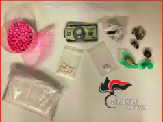 Spaccio di droga da Bologna a Fiorenzuola d’Arda: tre arresti dei carabinieri piacentini spaccio-di-droga-da-bologna-a-fiorenzuola-tre-arresti-dei-carabinieri-piacentini