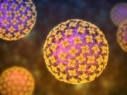 Hantavirus, il ministero della Salute attiva la sorveglianza su quattro persone e coinvolge altrettante Regioni hantavirus-ministero-della-salute-attiva-sorveglianza-e-coinvolge-quattro-regioni